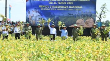 Panglima TNI Pimpin Panen Raya Kedelai di Nganjuk, Dorong Swasembada Pangan Nasional