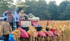 Presiden Prabowo Kemudikan Combine Harvester Saat Panen Raya Jagung di Tuban